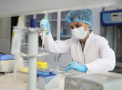 В Краснодарском крае выявили 233 новых случая заболевания COVID-19