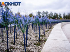 В Краснодаре 21 декабря столбики термометров покажут +14 градусов