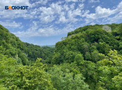 В Краснодарском крае ощутили подземные толчки 