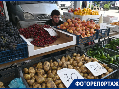 «Золотая» черешня и дешевые кабачки: что можно встретить на сельхозярмарке в Краснодаре