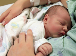 С начала года на Кубани благодаря ЭКО появились на свет более 1000 детей