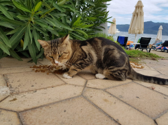 Лето не собирается покидать Краснодарский край 