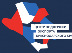 160 кубанских предприятий за время пандемии вышли на международные торговые площадки
