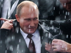 Циклон в Сочи не позволил Путину принять участие в совещании по подготовке к ОИ