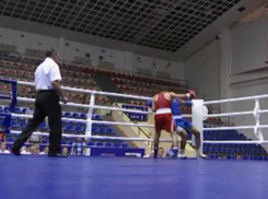 В Краснодаре завершился чемпионат ЮФО по боксу