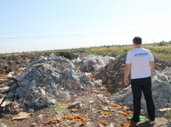 Жители Краснодара пожаловались на свалку в три гектара 