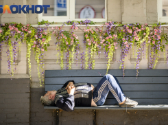 В Краснодарском крае выбрали места под стройку вытрезвителей