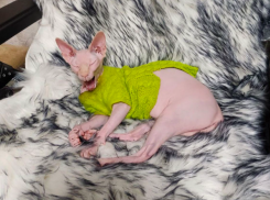 В Краснодарском крае резко похолодает