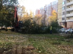 Краснодарцы пожаловались на чересчур большую парковку вместо зеленой зоны