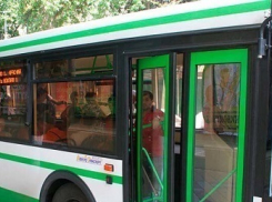 У жителей Краснодара спросят про самые загруженные автобусные маршруты города