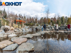 Дожди омрачат выходной в Краснодаре