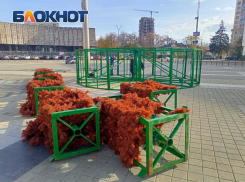 На Главной городской площади в Краснодаре устанавливают новогоднюю ёлку