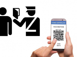 Привиться нельзя купить