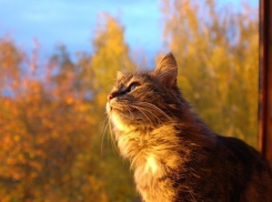 Новая рабочая неделя на Кубани начнется с потепления