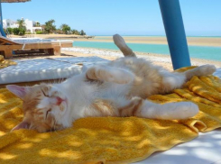 Столбики термометров в Краснодаре перевалят за 30 градусов