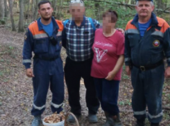 В Мостовском районе спасли 9 заблудившихся грибников 
