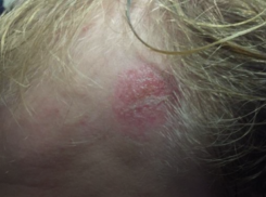 Драка в маршрутке: в Новороссийске водитель избил пассажира