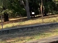 В Чистяковской роще мужчина мастурбировал на глазах краснодарок 