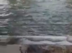 Краснодарцев накрыла паника из-за «переполнившегося» водохранилища