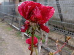 В станице Должанской прошел ледяной дождь