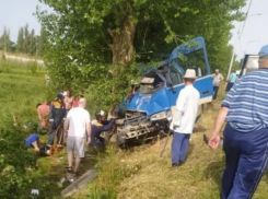 В Краснодарском крае автобус врезался в дерево: 4 погибших и 15 раненых