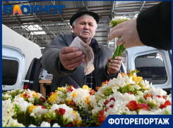 В Краснодаре стартовал предпраздничный цветочный бум
