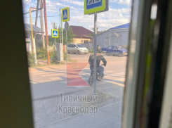 Краснодарский налетчик на мопеде пойдет под суд за вооруженное ограбление Сбербанка