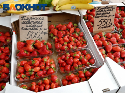 Несколько ярмарок выходного дня откроются в Краснодаре в предпоследнюю субботу лета