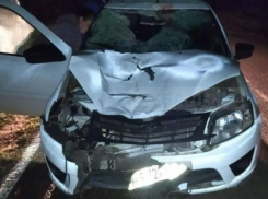 В Краснодарском крае пьяный водитель авто насмерть сбил велосипедиста с 9-летним ребенком 