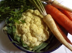 «Блокнот Краснодар» советует: чем заняться огородникам в феврале