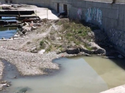 В Новороссийске сняли на видео, как сточные воды стекают в Черное море