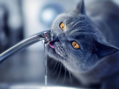 Власти Краснодара выделили деньги на водоснабжение льготников Старокорсунской