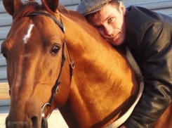 Как на Дону убивали лучший в стране конезавод и резали на колбасу элитные породы коней