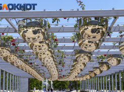 Важное в Краснодаре 24 июня: вспоминаем Парад Победы, гадаем на ромашке, поздравляем визажистов