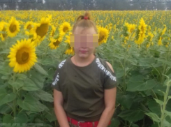  Пропавшую в Краснодаре девочку нашли через три дня поисков 