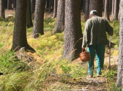 В горах Сочи развернули поисковую операцию по спасению заблудившегося мужчины