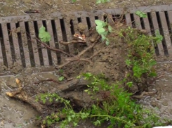 В Сочи над детской площадкой нависла угроза селевой лавины