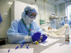 186 новых случаев заболевания коронавирусом выявили на Кубани 25 декабря 