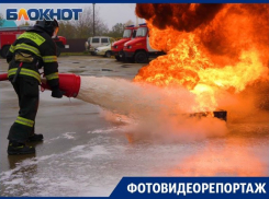 Змеи в магазинах, коровы в трясинах и коты на деревьях: истории спасателей Краснодара