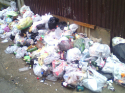 Сочи превратилось в помойку: жители обеспокоены замусориванием ливневки и главных улиц