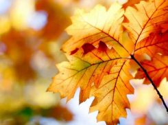 Погода в Краснодаре: поздняя холодная осень отменяется