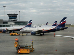  В Краснодаре задержали вылет самолета, который столкнулся со стаей птиц 