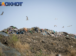 Мусорные короли расширяют владения? Станицу Полтавскую на Кубани планируют завалить отходами