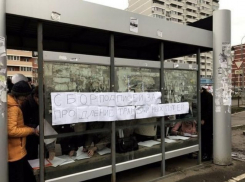  Более 4 тысяч краснодарцев оставили подписи под петицией о продлении трамваев в Музыкальный микрорайон 