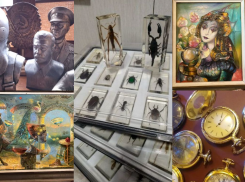 Картины Капо и жуки в смоле: пять невероятных коллекций на продажу в Краснодаре