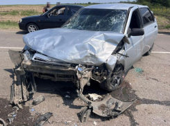 Корова спровоцировала ДТП в Адыгее: есть пострадавшие