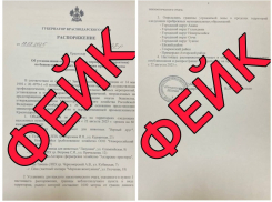 В Краснодарском крае опровергли слухи о карантине по бешенству на побережье