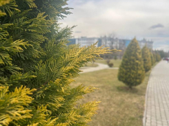 Промозглая погода ждет краснодарцев 25 февраля  