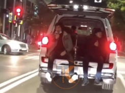 Полиция Краснодара заинтересовалась «кальянной» в багажнике