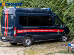 Под Краснодаром в лесу нашли труп пропавшего грибника